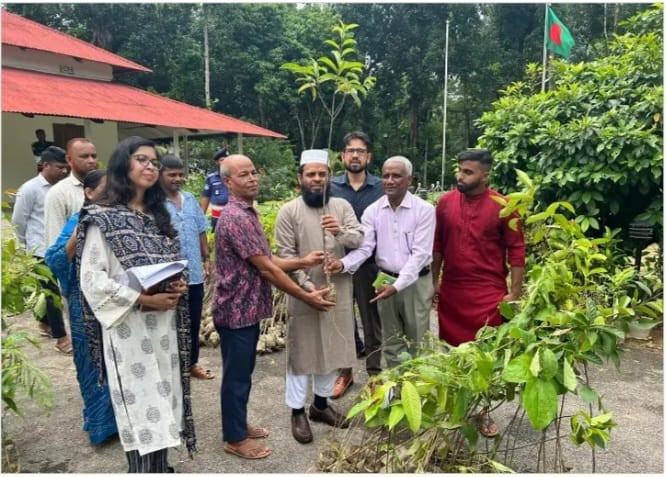 পরিবেশ সুরক্ষায় মৌলভীবাজারে এক লক্ষ কাছের চারা বিতরণ কর্মসূচ...